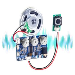 IS Icstation Sound Module, Recordable Voice Module 17 Minutes Voice Recording Module Sound Recordable Button Voice Playback Module Support MIC PC Phone Recording for DIY Greeting Card Father's Day