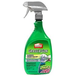 Ortho 0438580 Grass B Gon Garden Grass Killer Ready-to-Use, 24-Ounce (2)