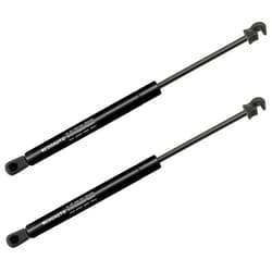 WEDOAUTO Qty2 Lift Support Strut Damper Shock Fits for Chrysler 300 2005-2010, for Dodge Challenger 2008-2012, for Dodge Charger 2005-2010, for Dodge Magnum 2005-10 Front Hood SG414051 6303 4589607AA