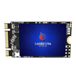 GAMERKING M.2 2242 SSD 256GB 3D NAND TLC SATA III 6 Gb/s, Internal Solid State Drive - Compatible with Desktop PC Laptop (2242 256GB)