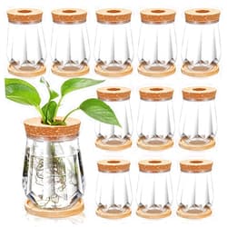 Baderke 12 Packs Propagation Vases for Plants Plastic Plant Propagation with Hole Lid and Bamboo Stand Growing in Water Hydroponic Home Office Desktop Vase Decoration(Diamond Style)