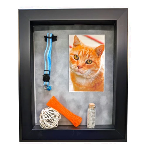 iFrame Pet Memorial Shadow Box Picture Frame Pet Loss Keepsake & Gift, Cats, Kittens, Kitty Animals, Made in USA