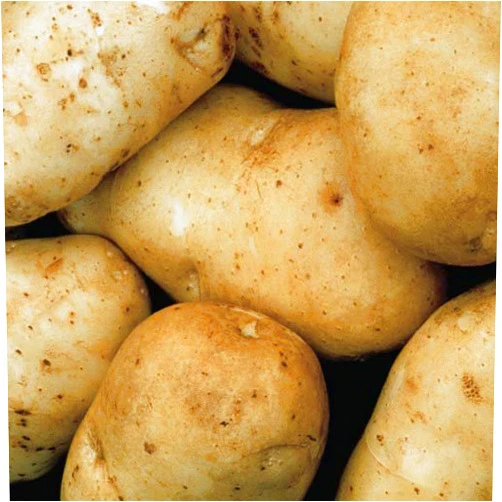 Northshire Farms Kennebec Potatoes - 2 lbs