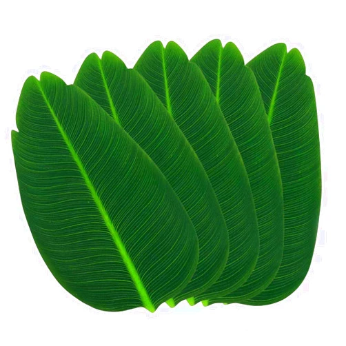 SWR Banana Leaves, Leaf placemats, 10 Pcs Artificial Banana Leaves for Hawaiian Party Jungle Aventure Theme Party Decor Table Runner Centerpieces Placemat (10), Green, 17.72''*9.84''