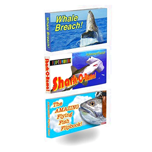 Fliptomania Ocean Life Flipbooks 3-Pack