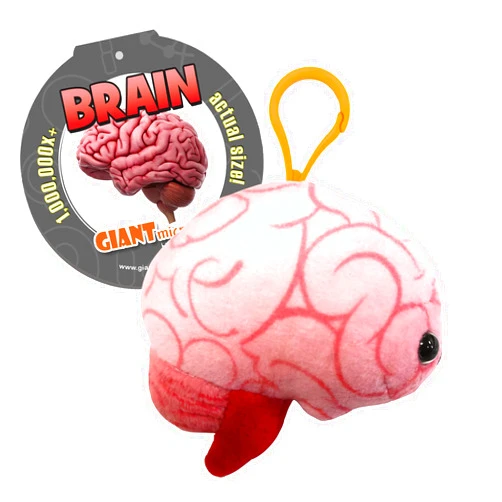 GIANT MICROBES GIANTmicrobes Brain Organ Plush Keychain, Brain Toy, Brain Stuffed Animal, Brain Gifts For Neurologist, Brain Surgery Recovery Gifts, Neurology Gifts, Neuroscience Gifts, Brain Injury Gift, Bag Charms