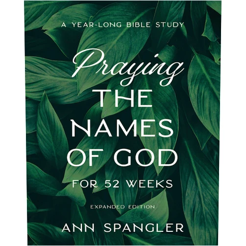 By Ann Spangler (Author) Praying the Names of God for 52 Weeks, Expanded Edition: A Year-Long Bible Study