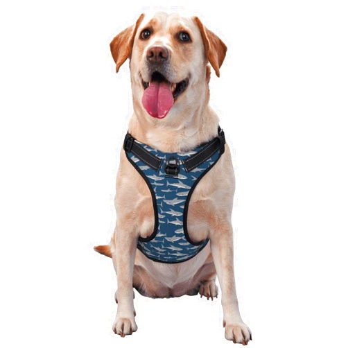 Aiyoolee Breathable Dog Harness Vest Leash Set, No Pull No Choke Reflective Puppy Dog Harness with Easy Control Handle Mesh Pads for Walking Training Running, Cute Shark Print Dog Harness