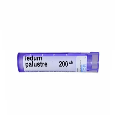 Boiron Ledum Palustre, Homeopathic Medicine for Insect Bites, White, 200ck, 80 Count 200ck 80 Count (Pack of 1)