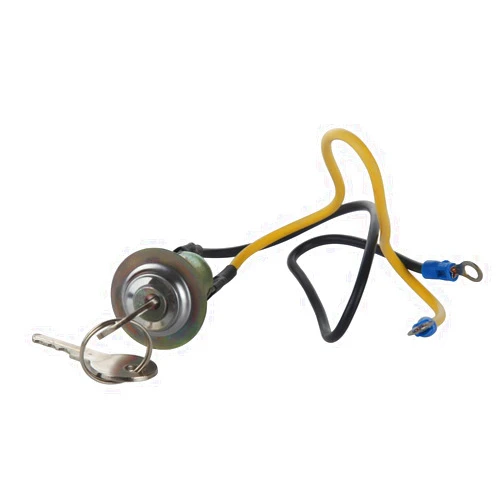 Yersul 8N3679C Ignition Switch with 2 Wire 2 Position 2 Keys 2N 8N 9N 4000 6000 641 NAA 501 600 601 700 701 800 801 900 2000 4000 1939-1964 Replacement for Ford Jubilee Tractor,Car, Boat, Truck