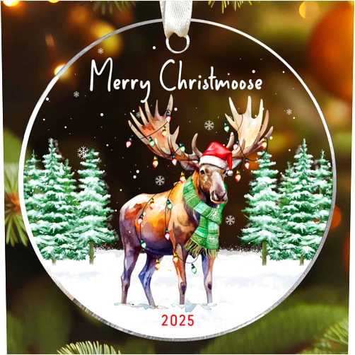 Lucagift Moose Ornament - Moose Gifts for Lovers, Women, Men - Funny Animals Ornaments for Christmas Tree - Animals Themed Gifts - Acrylic Christmas Ornament 2025