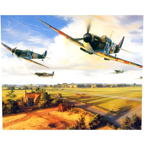 MOJIU Paint by Number Kits Paintworks DIY Oil Painting for Kids and Adults,Black Plane