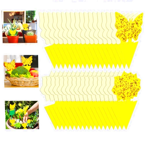 Stingmon 54 Pack Fruit Fly Trap for Indoor, Gnat Traps for House Indoor, Fungus Gnat Killer Sticky Traps for plants, Mosquitoes, Flying Insects