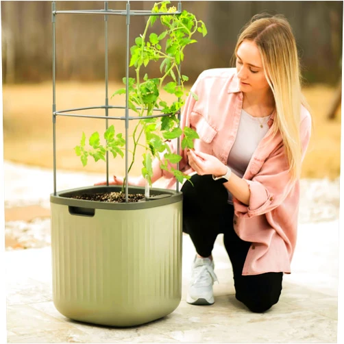 Vego garden Tomato Planter Box with Trellis Self-Watering Rolling Raised Garden Bed for Climbing Vegetables Plants Cage - Sage Green
