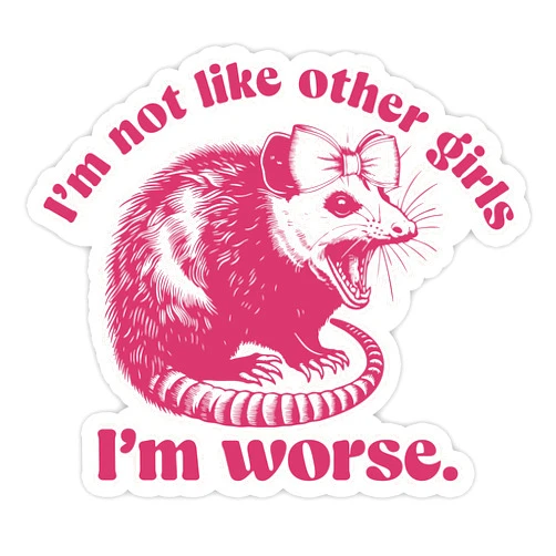Generic I'm Not Like Other Girls I'm Worse Sticker Funny Opossum Quote Chaotic Girly Humor Sarcastic Pink Bow Waterproof Die-Cut Vinyl Decals for Book Water Bottle Laptop Phone for Mom Dad Friend Coworker