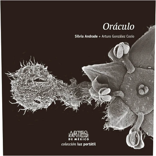 Spanish Edition by Arturo Gonzalez Cosio Silvia Andrade (Author) ÓRACULO