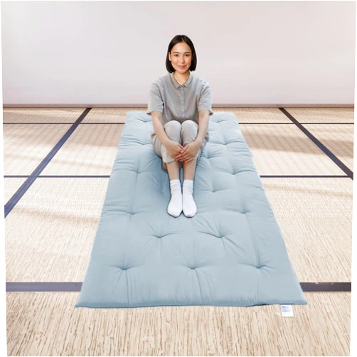 FindPanda Japanese Futon Floor Mattress, Folding Tatami Mat Sleeping Pad,Roll Up Kids Floor Lounger Pillow Bed (Light Grey, Twin)