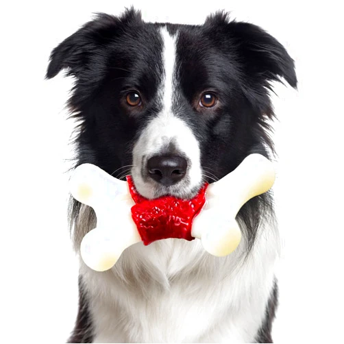 ADSDIA Tough Dog Toys/Dog Toys/Dog Chew Toys for Aggressive Chewers/Dog Toys for Large/Medium Dogs Breed/Indestructible Dog Chew Toys/Tough Alligator Dog Toys for Aggressive Chewers - Milk Flavor