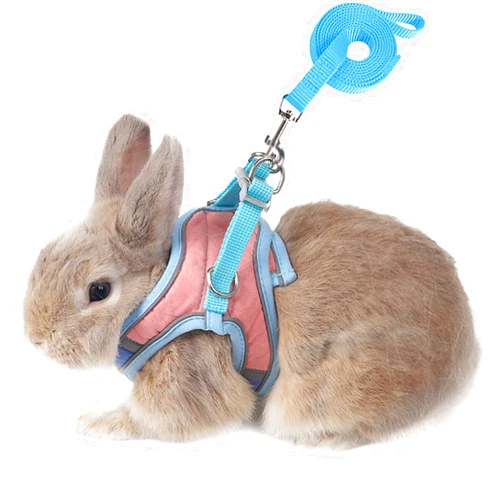 SQUSIMEI Adjustable Bunny Harness and Leash Set Double Buckle with Reflective Strips Rabbit Vest Pets Stuff Suitable for Rabbit Walks Accessories (Powder Blue, S)