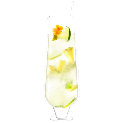 LSA International Rum Jug & Stirrer, 60.9 fl oz, Clear