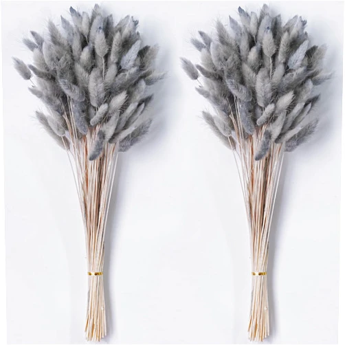 CKBT 120 PCS Dried Pampas Grass Decor, 17-inch Pompas Floral, Dry Flowers for Decoration, Pampas Grass in Bulk Tall, Bunny Tails Dried Flowers for Boho Wedding Decor