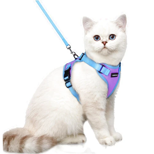 rabbitgoo Cat Harness and Leash Set, Escape Proof Soft Adjustable Vest Harnesses for Outdoor Walking, Easy Control Breathable Kitten Jacket with Reflective Strips, Purple & Blue, XS