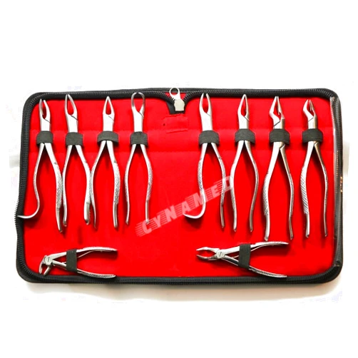 Cynamed Set of 10 Each German Stainless Oral Dental Extraction EXTRACTING Forceps Dental Instruments CYNAMED Brand