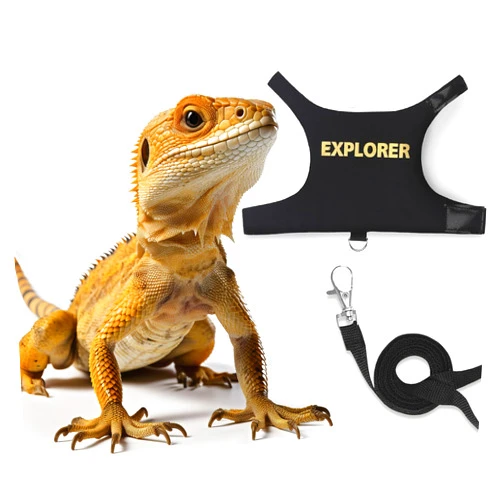 POLKASTORE Bearded Dragon Leash and Harness Adjustable - Escape Proof Soft Leather Reptile Lizard Leash Harness with 5 ft Short Leash for Walking Outdoor