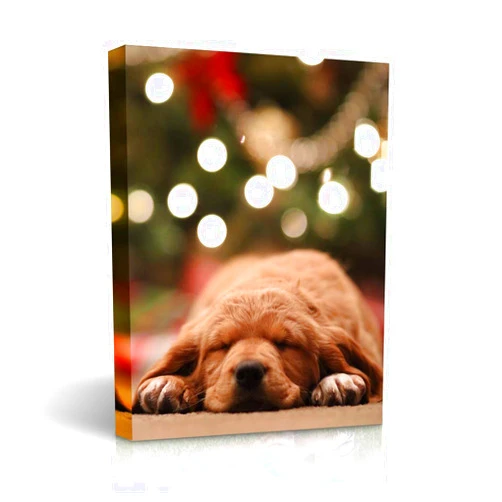 SIGNLEADER Personalized Canvas Wall Art, Custom Canvas Prints with Your Photos, Perfect Gallery/Living room/Bedroom Wall Decor - 11x14 inches