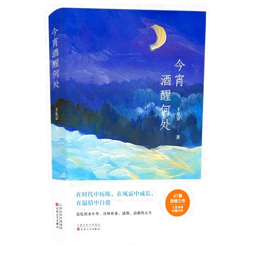 Chinese Edition by Wang Dongjing (Author) Every Step in Life Has Its Meaning (Chinese Edition)