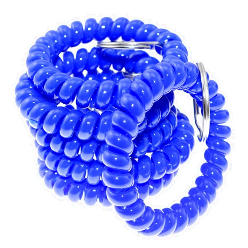 Lind Kitchen 6PCS Spring Spiral Wrist Coil Key Chain, Plastic Spring Hand Ring Key Ring (Flat Wire), Wristband Key Ring, Blue