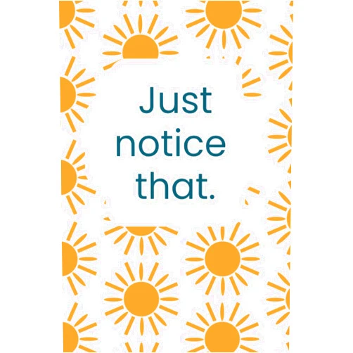 By Michelle D Risser (Author) Just Notice That (Sun): A journal for your notes, insights and a-has.