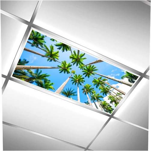 C.IOPMNU 2 Pack Fluorescent Light Cover for Classroom,Coconut Trees Ceiling Decorative Film Filter,Eliminate Harsh Glare Causing Eyestrain and Headaches