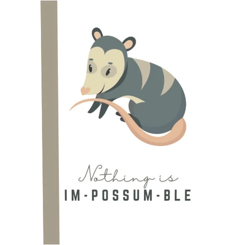 Rachel Fairchild Nothing is Im-possum-ble Journal