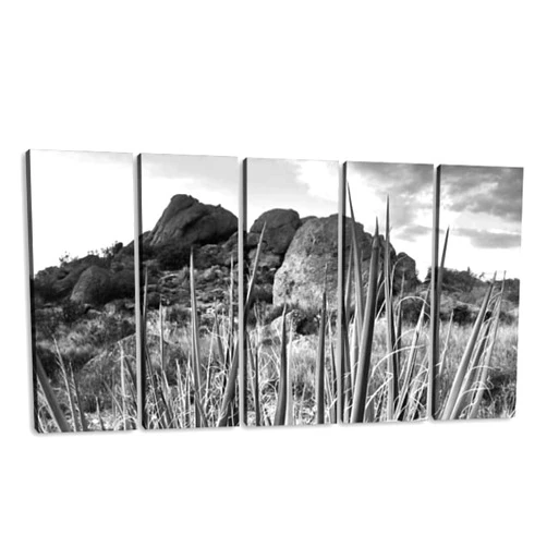 KiiAmy 5 Panels Art Wall Decor Black and White Landscape Desert Yucca boulders Grayscale Artwork Modern Canvas Prints Office Bedroom Home Decor Framed Painting Ready to Hang (60''Wx32''H)