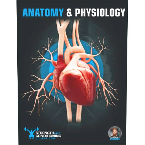 By Strength and Conditioning Course (Author), Mr Jason Curtis (Author), Mr Shaun Carter (Editor) & 0 more ANATOMY & PHYSIOLOGY: A SIMPLIFIED GUIDE TO THE STRUCTURES AND SYSTEMS OF THE HUMAN BODY (FUNCTIONAL ANATOMY)
