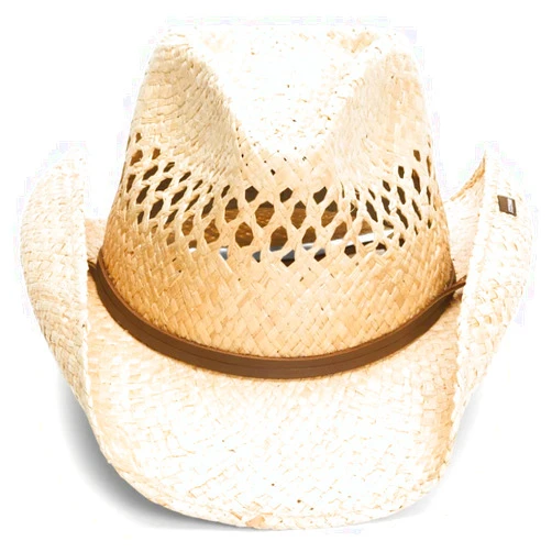 Stetson Men's Straw