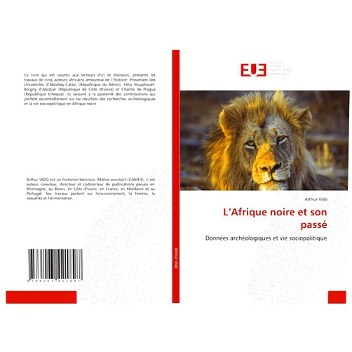 Arthur Vido L’Afrique noire et son passé: Données archéologiques et vie sociopolitique (French Edition)