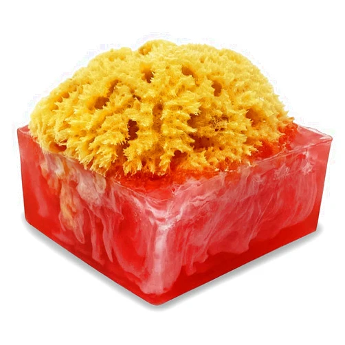 Primal Elements Aloha SpongeBar Soap (Pack of 2)