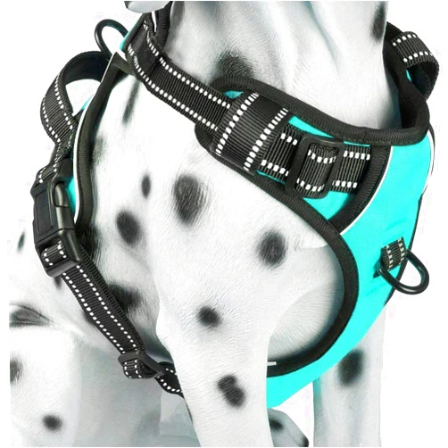 PoyPet No Pull Dog Harness, Reflective Comfortable Vest Harness with Front & Back 2 Leash Attachments and Easy Control Handle Adjustable Soft Padded Pet Vest for Small Medium Large Dogs (Mint Blue,M)