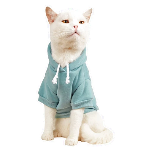 QWINEE Basic Dog Hoodie, Dog Warm Jacket, Cat Apparel, Dog Shirt, Dog Clothes for Puppy Kitten Small Medium Dogs Cats Cadet Blue M