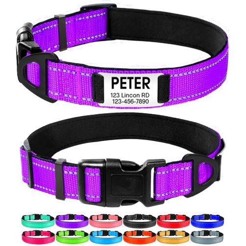 Joytale Personalized Dog Collars, Reflective Nylon Collar with Engraved Name Plate, Customized for Medium Dogs, Purple, M