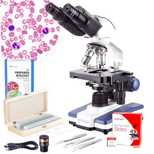 AmScope - 40X-2500X LED Binocular Compound Microscope with 3D Stage, 5MP Digital Camera, 50-Piece Prepared Slides Set, and 3-Piece Precision Tweezers Set - VB-B120C-PRO