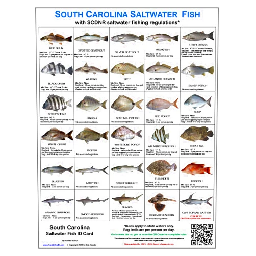 Tackle Box I.D. South Carolina Saltwater Fish Identification Card Set of 3 Waterproof Cards Showing 60 Common Fish and 17 Sharks in True-to-Life Photographs with SCDNR Rules