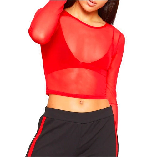 MA ONLINE Ladies Plain Long Sleeve Sheer Mesh Crop Top Womens See Through Crew Neck Top Small/Large