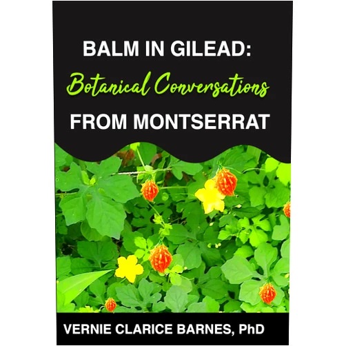 By Vernie Clarice Barnes (Author) Format: Kindle Edition Balm in Gilead: Botanical Conversations from Montserrat