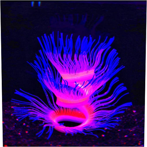 Bluecoco Soft Silica Gel Moves Naturally with Water Flow, Aquarium Decorations Glow in The Dark, Glowing Coral Ornaments for Fish Tank Decorations (Blue, Anemone)