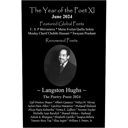 The Poetry Posse,inner child press ltd.,william s. peters sr.,Shareef Abdur Rasheed,hülya n. yılmaz Ph.D. The Year of the Poet XI June 2024 (The Year of the Poet: Poets Create Bridges of Cultural Understanding Poetry Series)