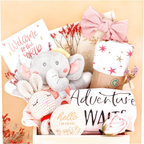 Pengtai Baby Girl Gifts,Baby Shower Gifts for Girls,New Born Baby Girls Gift,Baby Girl Gift Basket,Unique Baby Gift Essential Stuff,Gender Reveal Gifts,Rattle Swaddle Blanket Baby Girl Gifts