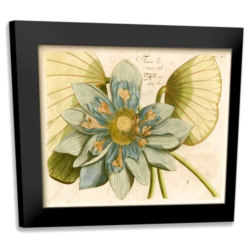 ArtDirect - Vision Studio 18x15 Black Modern Framed Art Print Titled: Blue Lotus Flower I